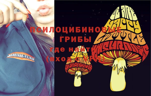 ALPHA PVP Арсеньев