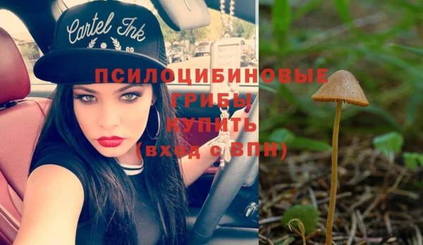 ALPHA PVP Арсеньев