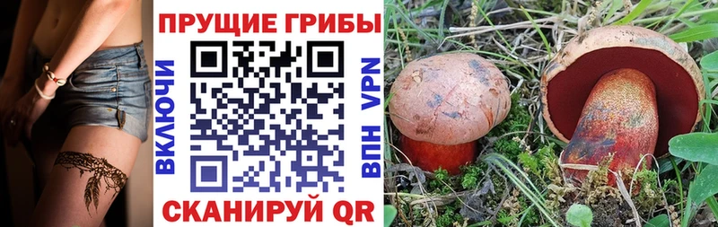 Галлюциногенные грибы MAGIC MUSHROOMS купить наркоту Ишимбай
